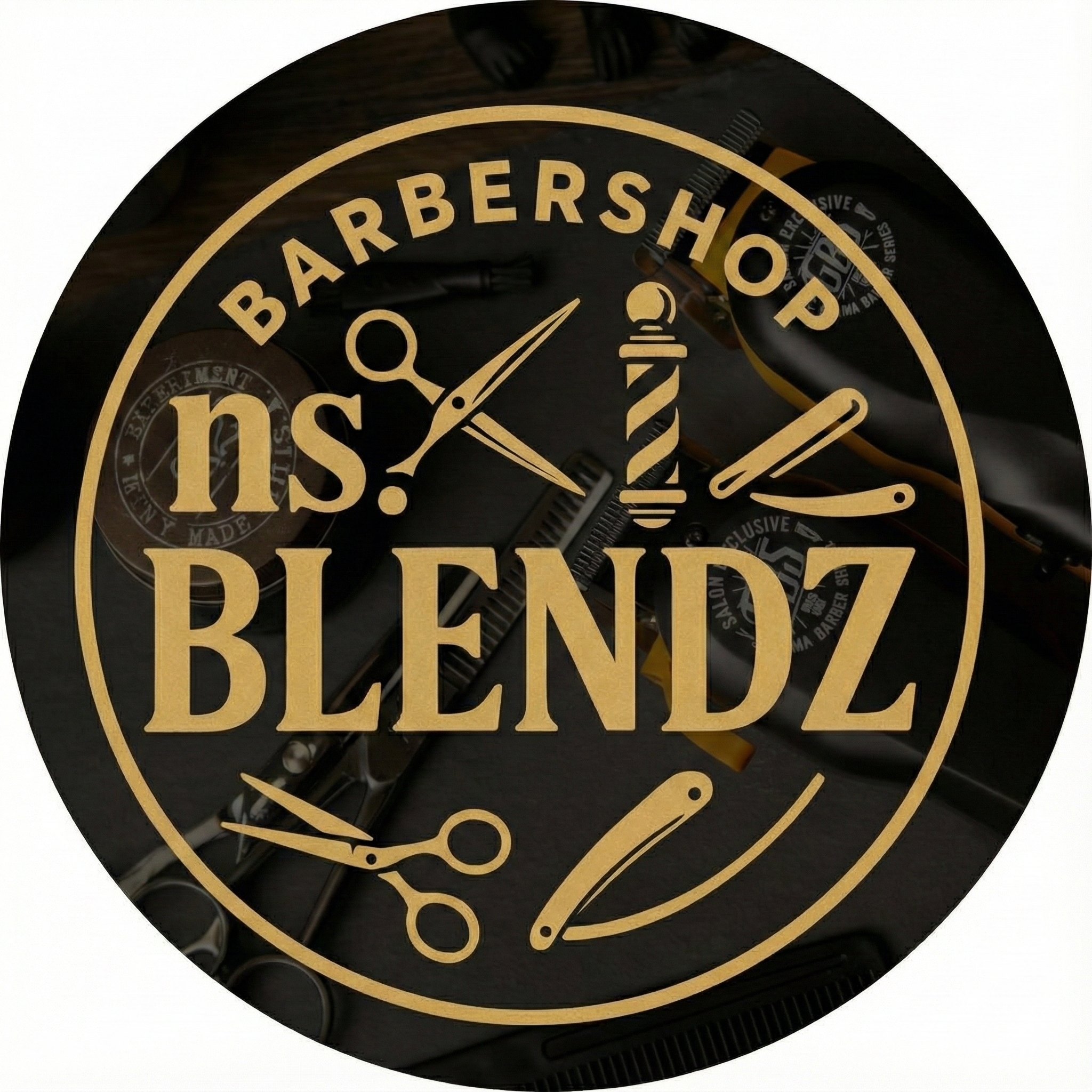 NS Blendz Logo